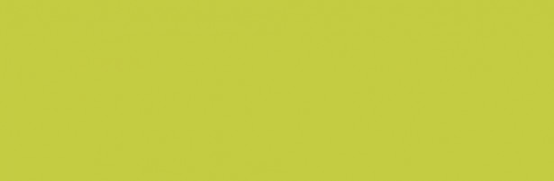 Lattialaatta Pukkila Pro Technic Color Lime Green, kiiltävä, sileä, 297x97mm