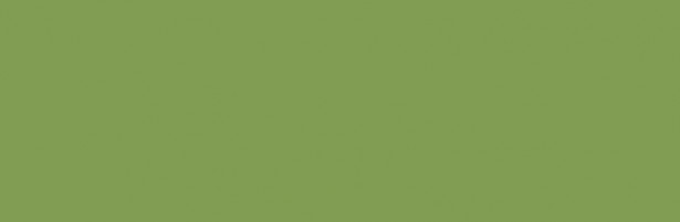 Lattialaatta Pukkila Pro Technic Color Green, kiiltävä, sileä, 297x97mm