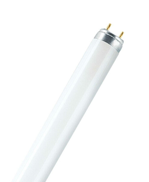 Loisteputki Osram FLUORA T8 L 58 W/77 G13 1500 mm 2250lm, 6kpl/pkt,  Verkkokaupan poistotuote