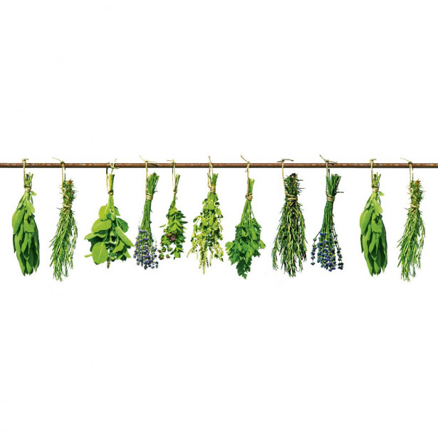 Välitilatarra Dimex Herbs, 180-350x60cm