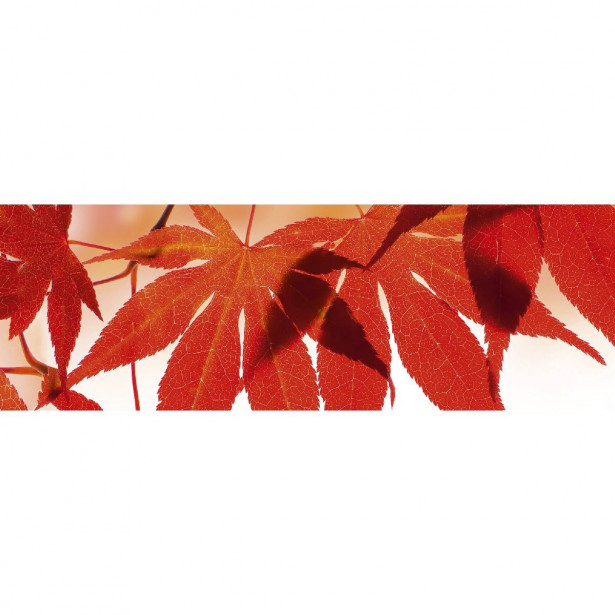 Välitilatarra Dimex Red Leaves, 180-350x60cm