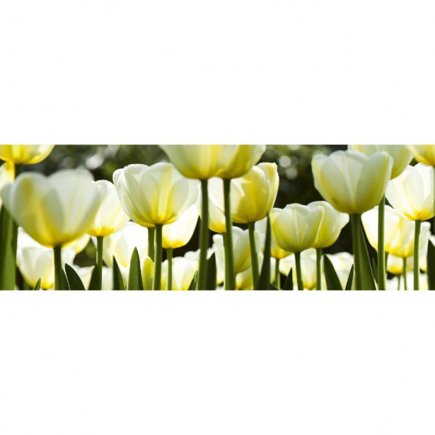 Välitilatarra Dimex White Tulips, 180-350x60cm