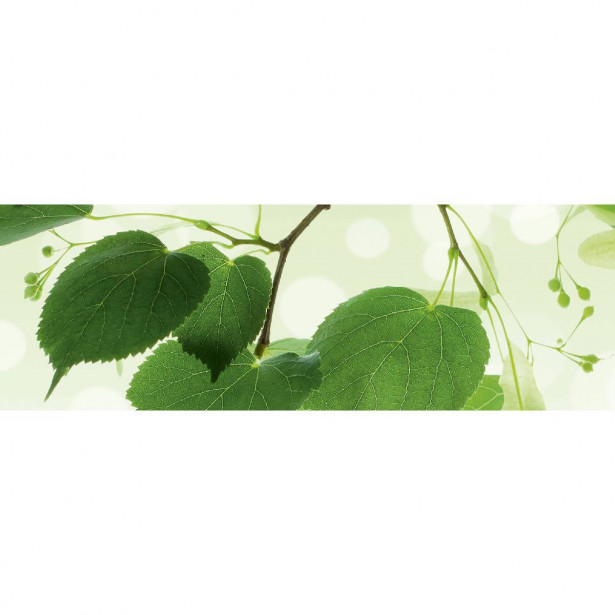 Välitilatarra Dimex Green Leaves, 180-350x60cm