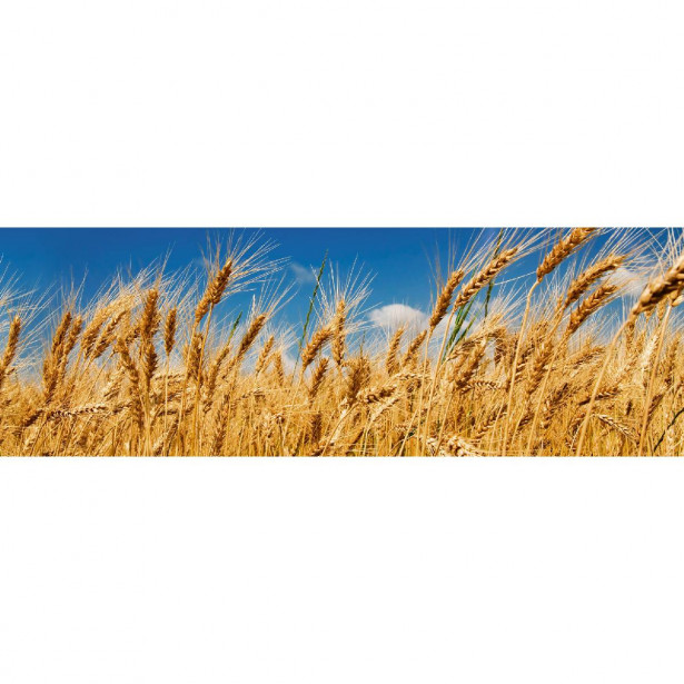 Välitilatarra Dimex Wheat Field, 180-350x60cm