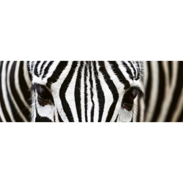 Välitilatarra Dimex Zebra, 180-350x60cm