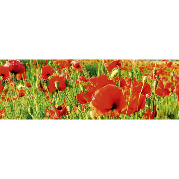 Välitilatarra Dimex Red Poppies, 180-350x60cm