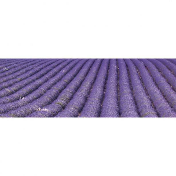 Välitilatarra Dimex Lavender Field, 180-350x60cm
