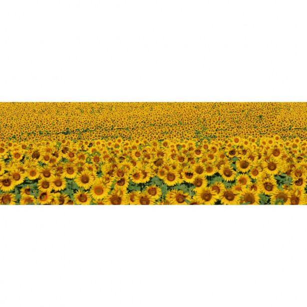 Välitilatarra Dimex Sunflowers, 180-350x60cm