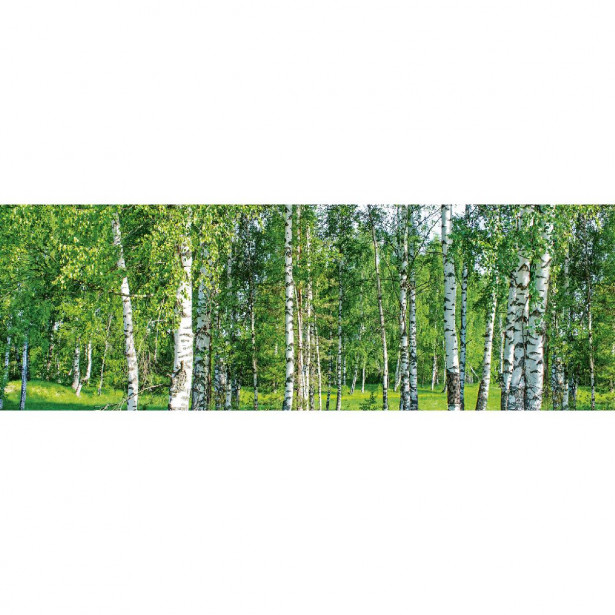 Välitilatarra Dimex Birch Grow, 180-350x60cm
