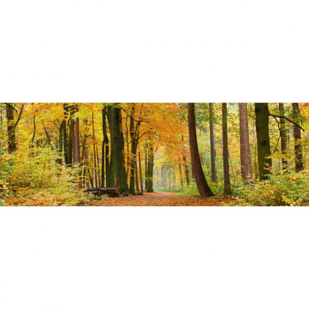 Välitilatarra Dimex Autumn Forest, 180-350x60cm