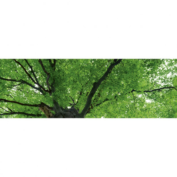 Välitilatarra Dimex Treetop, 180-350x60cm