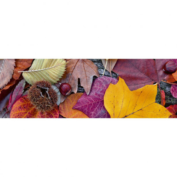 Välitilatarra Dimex Autumn Leaves, 180-350x60cm