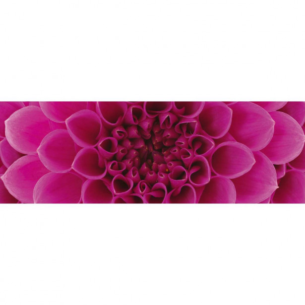 Välitilatarra Dimex Pink Dahlia, 180-350x60cm