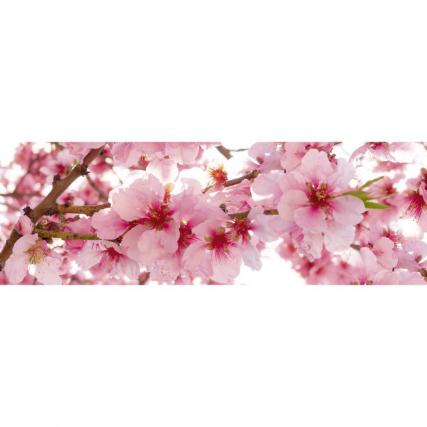 Välitilatarra Dimex Apple Blossom, 180-350x60cm