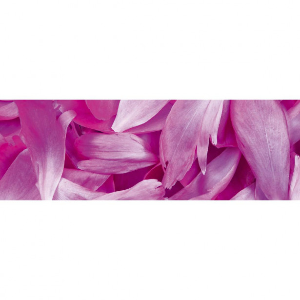Välitilatarra Dimex Violet Petals, 180-350x60cm