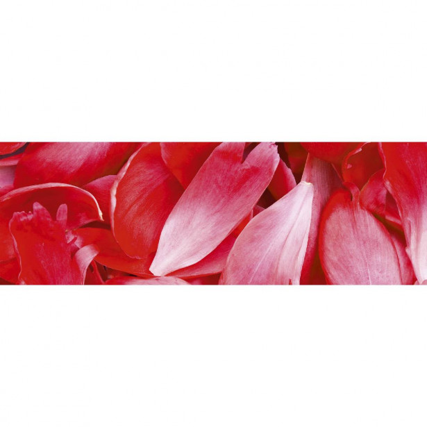 Välitilatarra Dimex Red Petals, 180-350x60cm