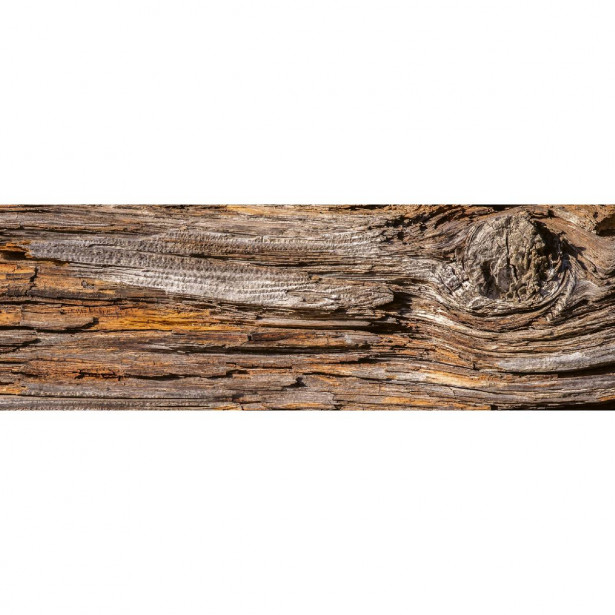Välitilatarra Dimex Tree Bark, 180-350x60cm