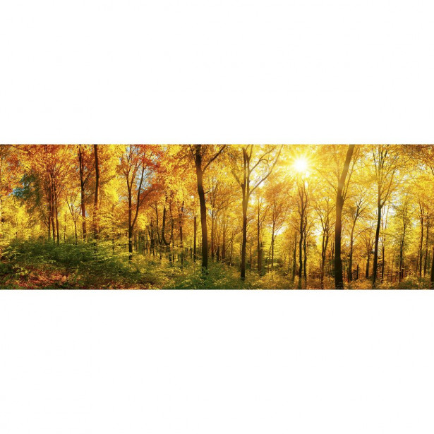 Välitilatarra Dimex Sunny Forest, 180-350x60cm