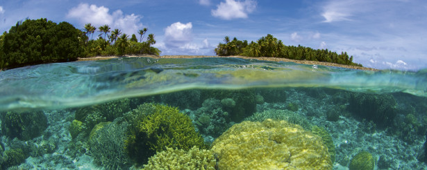 Maisematapetti Dimex Coral Reef, 375x150cm