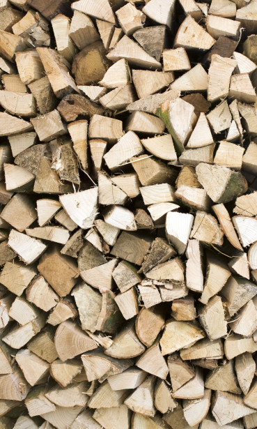 Kuvatapetti Dimex Timber Logs, 150x250cm