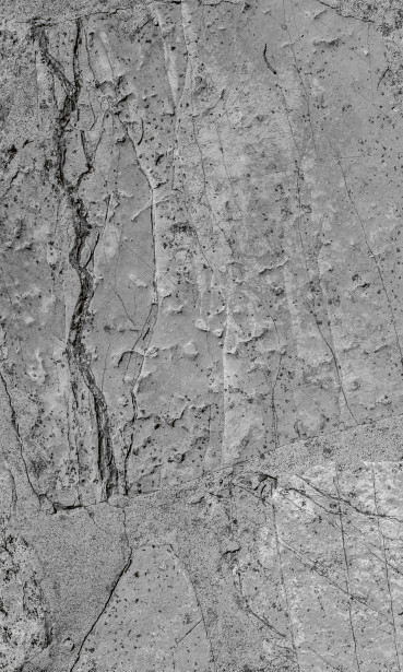 Kuvatapetti Dimex Wall Concrete, 150x250cm