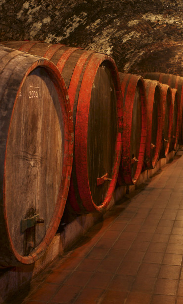 Kuvatapetti Dimex Wine Barrels, 150x250cm