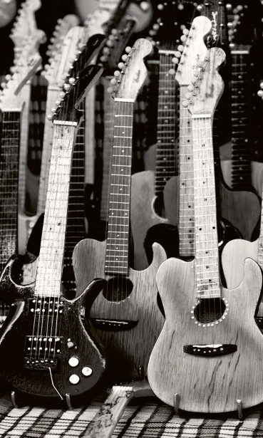 Kuvatapetti Dimex Guitars Collection, 150x250cm