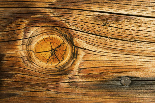 Kuvatapetti Dimex Wood Knot, 375x250cm