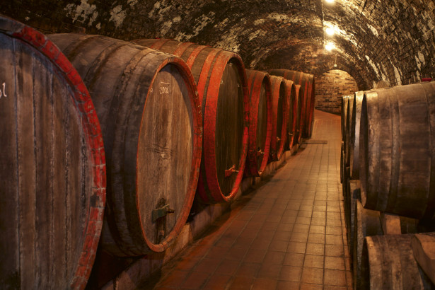 Kuvatapetti Dimex Wine Barrels, 375x250cm