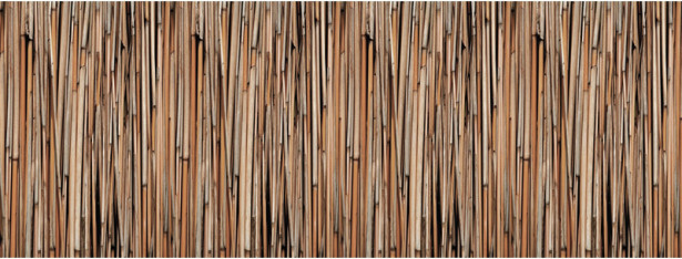 Valokuvatapetti Quattro Bamboo 8-osainen 372x280cm