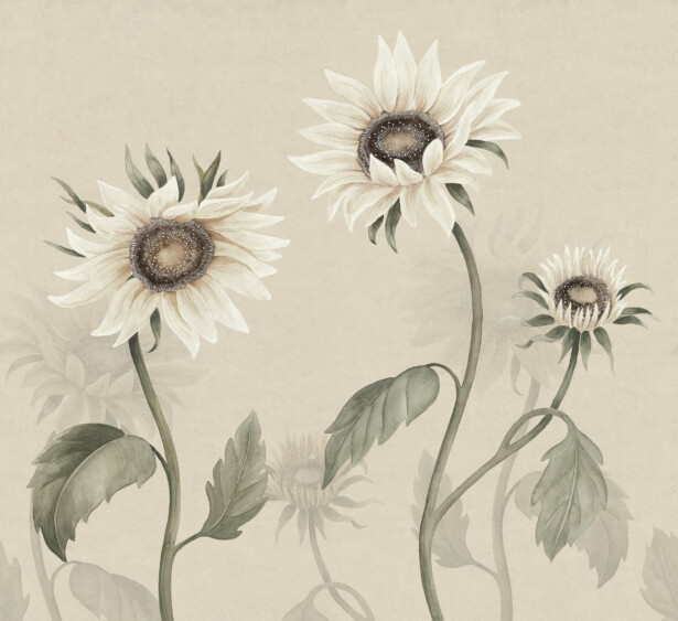 Kuvatapetti Sandberg Sunflowers valkoinen, mittatilaus, non-woven