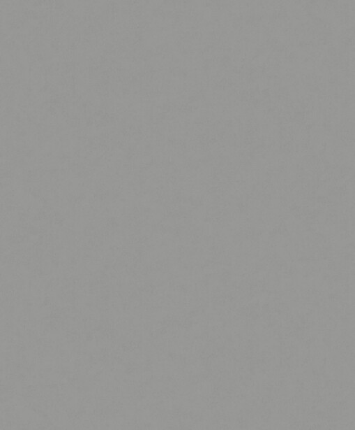 Tapetti Fiona Nordic Elegance Concrete
