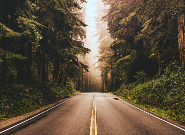 Kuvatapetti A.S. Creation Designwalls Road Trip, 350x255cm, ruskea