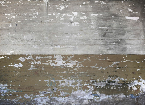 Kuvatapetti A.S. Creation Designwalls Concrete Coated, 350x255cm, harmaa