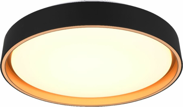 LED-kattovalaisin Trio Felis, 40cm, musta/kulta