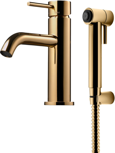 Pesuallashana Tapwell Evo EVM069, käsisuihkulla, Brass