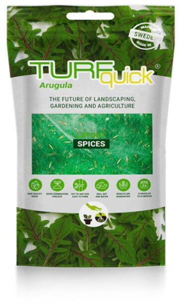 Rucolan siemenet Turfquick, kasvualustalla