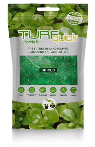 Vihannesportulakan siemenet Turfquick, kasvualustalla