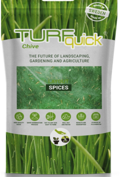 Ruohosipulin siemenet Turfquick, kasvualustalla
