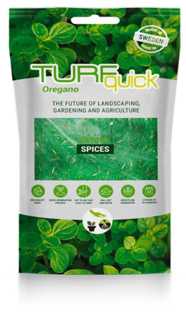 Oreganon siemenet Turfquick, kasvualustalla