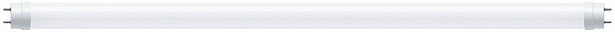 LED-putki Paulmann Tube, G13, 604mm, 900lm, 9.5W, 3000K, opaali
