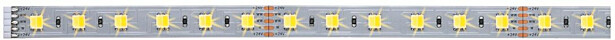 LED-valonauha Paulmann MaxLED 1000, 1m, 6.2W, 550lm/m, säädettävä värilämpötila
