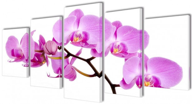 Taulusarja orkidea 200 x 100 cm_1