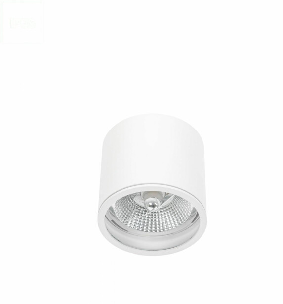 Alasvalo Spectrum Chloe AR111 GU10 IP65 Ø120x115mm