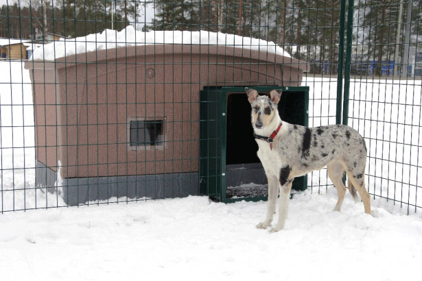 Tunneli koirankopin ja koira-aitauksen välille Jämpti, eri värejä