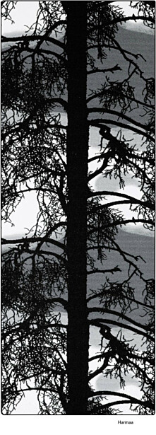 Käytävämatto Kelohonka, 80x230cm, harmaa