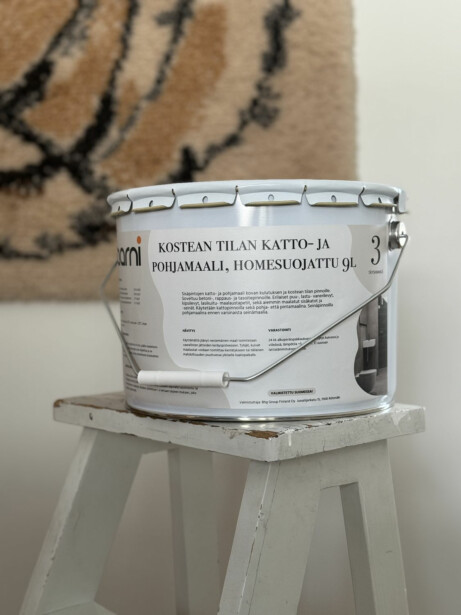 Kostean tilan katto- ja pohjamaali Aarni, himmeä, 9l