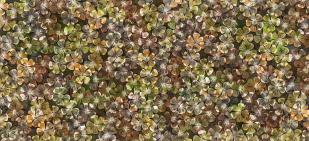 Kuvatapetti Rebel Walls Big Bloom Amber, non-woven, mittatilaus