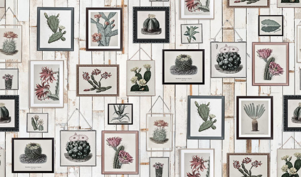 Kuvatapetti Rebel Walls Cactus Wall Art Faded, non-woven, mittatilaus