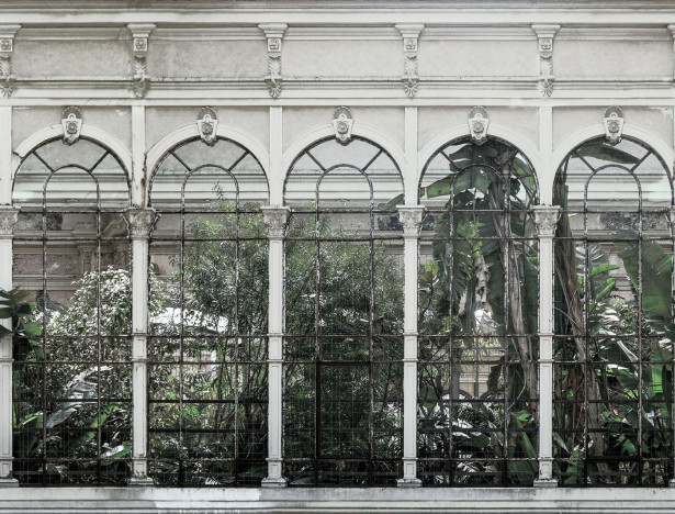 Kuvatapetti Rebel Walls Dove Gardens White, non-woven, mittatilaus